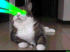 lasercat.gif
